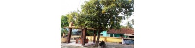 கீழப்புளியூர்